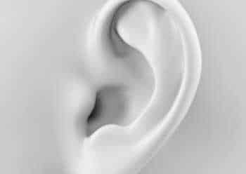 Mri Ears