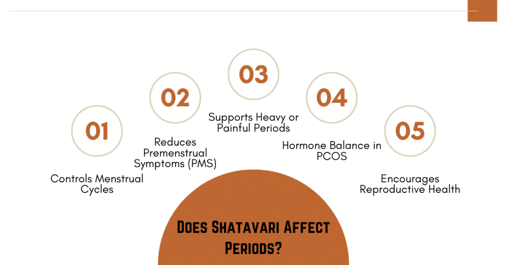 Does Shatavari Affect Periods