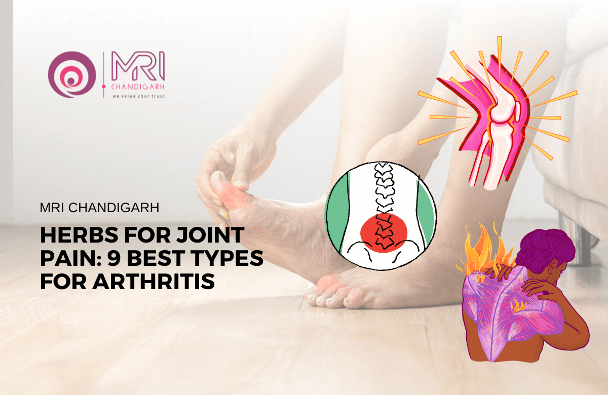 Herbs For Joint Pain: 9 Best Types For Arthritis