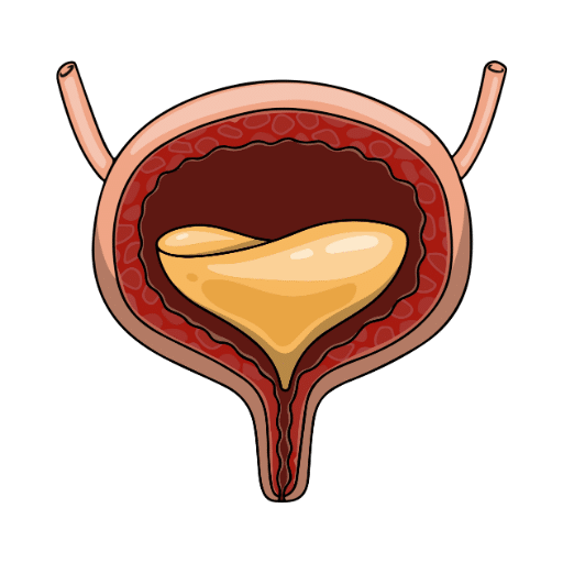 Bladder Cancer PET Scan In Chandigarh