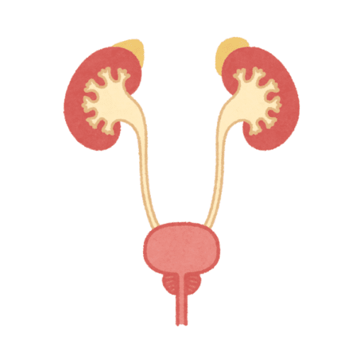best-Bladder-Cancer-PET-Scan-In-Chandigarh